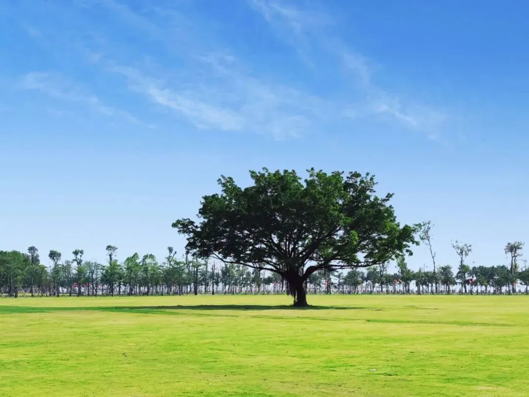 珠海好耍的地方,珠海自由行最好的地方