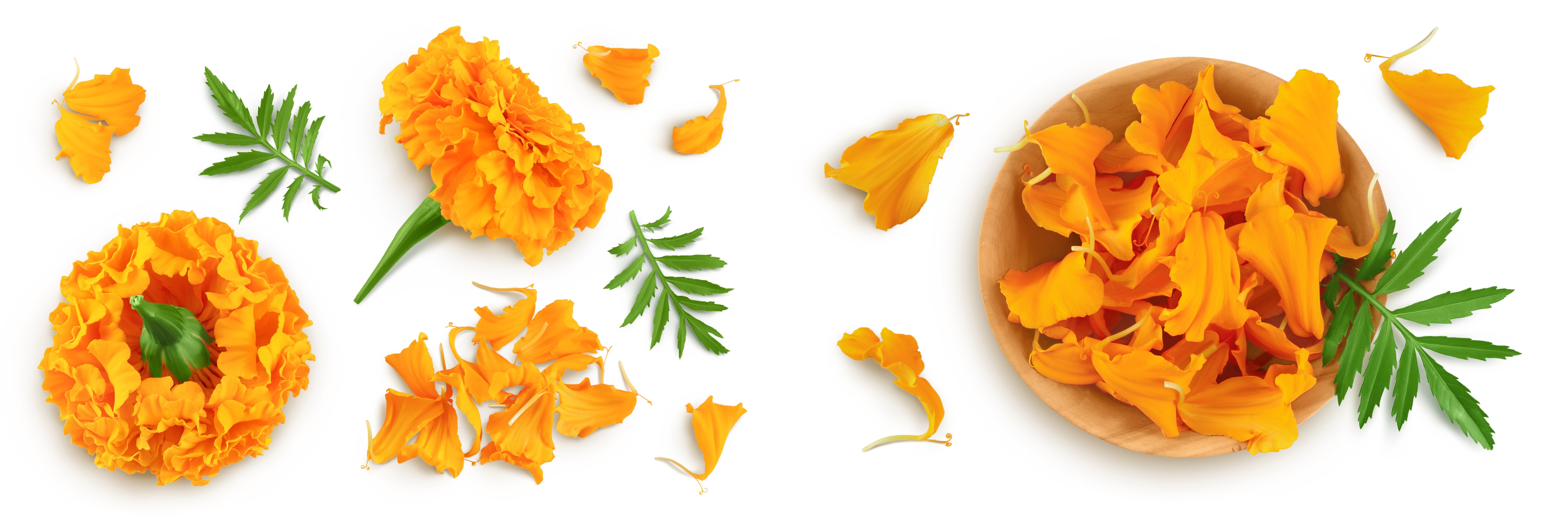 办公室绿植护眼,可以放在办公室的绿植有哪些