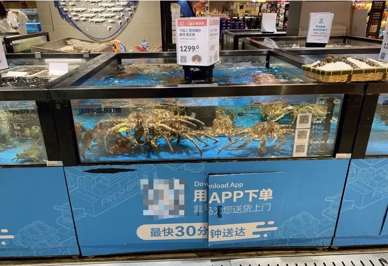 盒马鲜生股票最新估值,盒马鲜生溢价多少钱