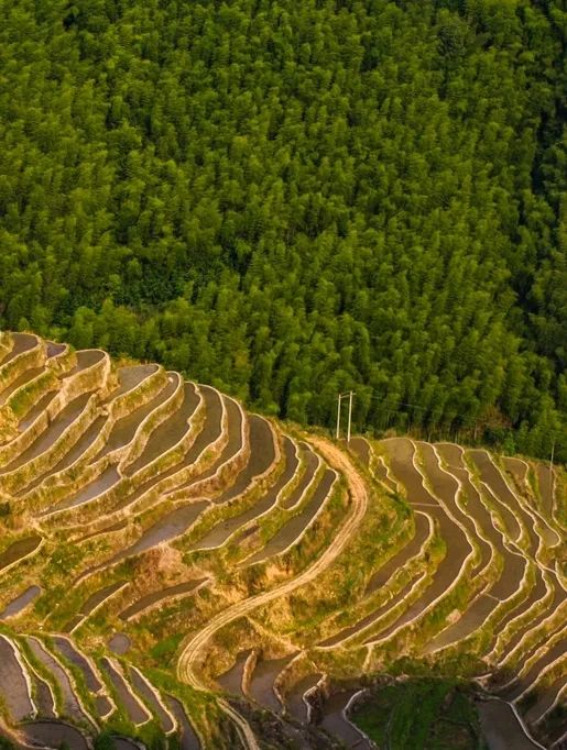 丽水游玩攻略一天,丽水游玩攻略2日游
