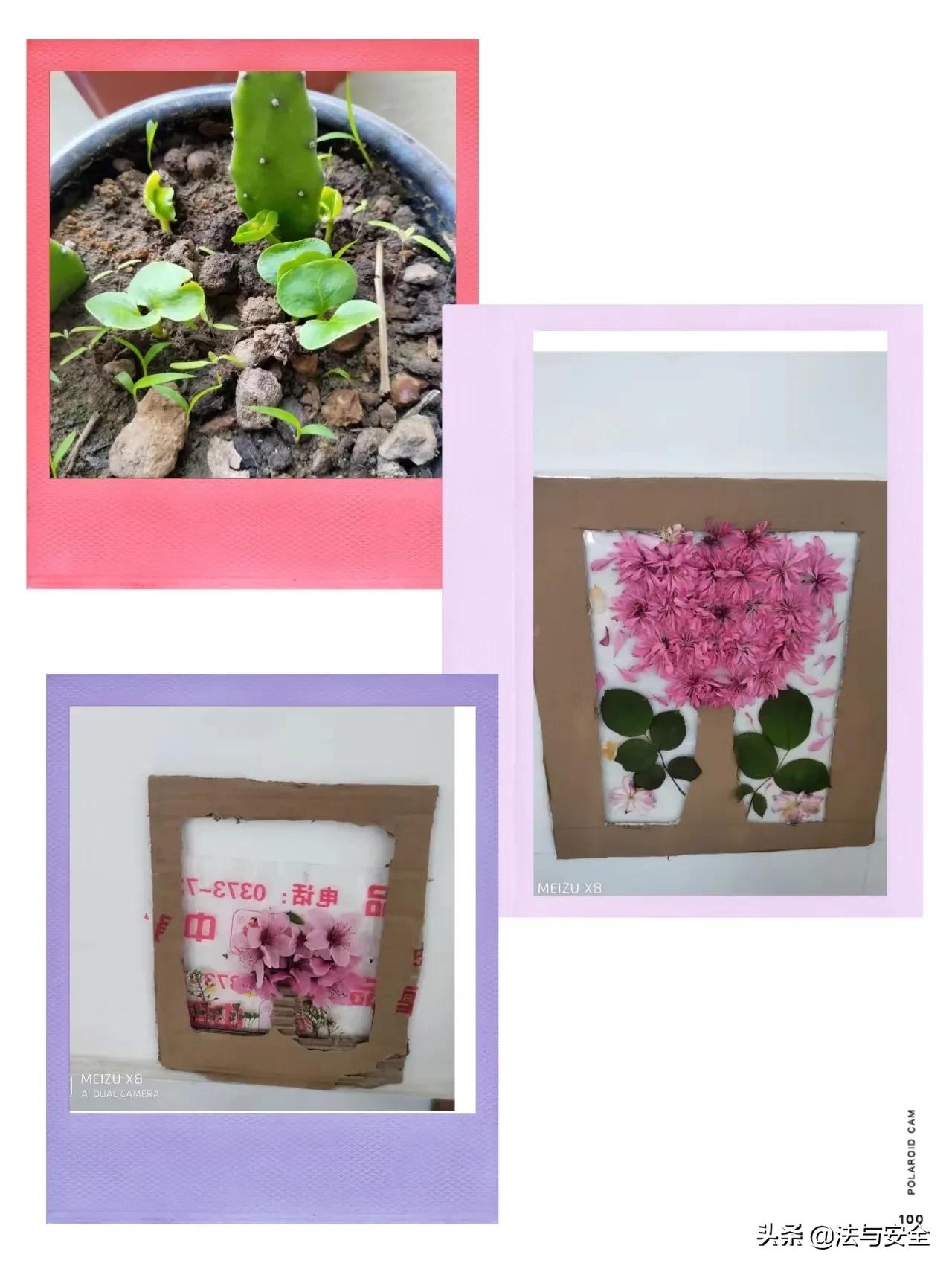 停课不停学安阳,河南安阳停课吗