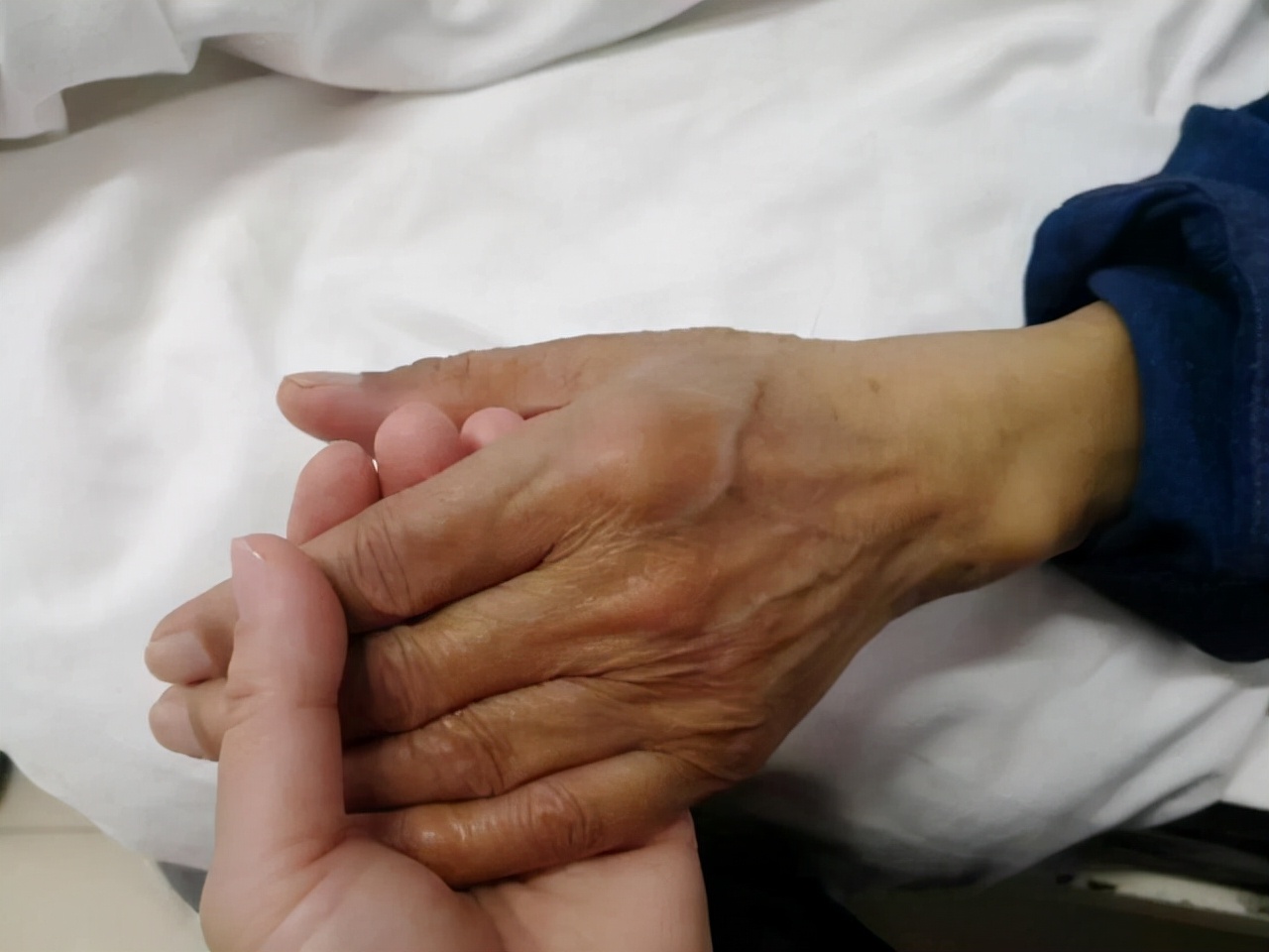 中药新发现？蒲公英能杀死96%癌细胞？真相到底是如何？