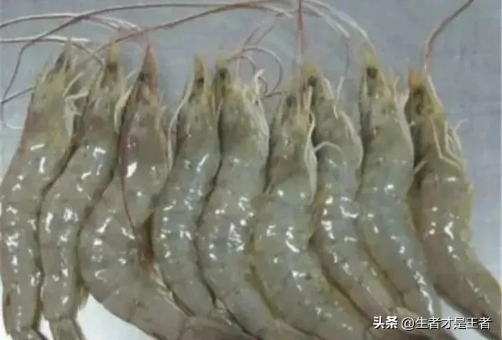水煮虾的正确水煮方法,水煮虾子的煮法