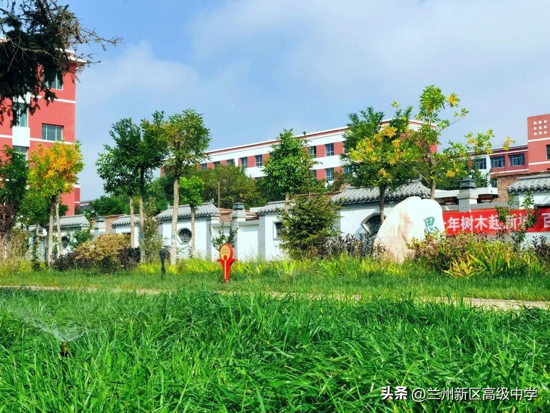 兰州新区高级中学学子在信息素养提升实践活动中斩获多个奖项