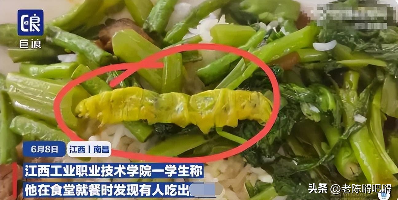 鸭脖事件涉及的学校,鸭脖事件后学生点外卖