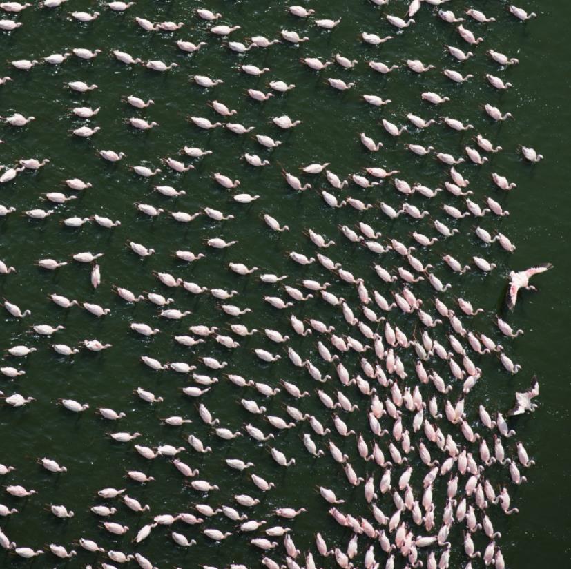 美国女人的收藏品，全美服装比赛上的佳丽，40张照片带你看全球