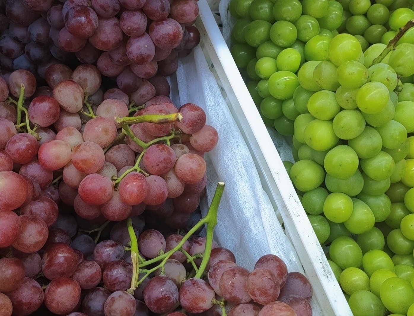 山中医er的“小确幸”