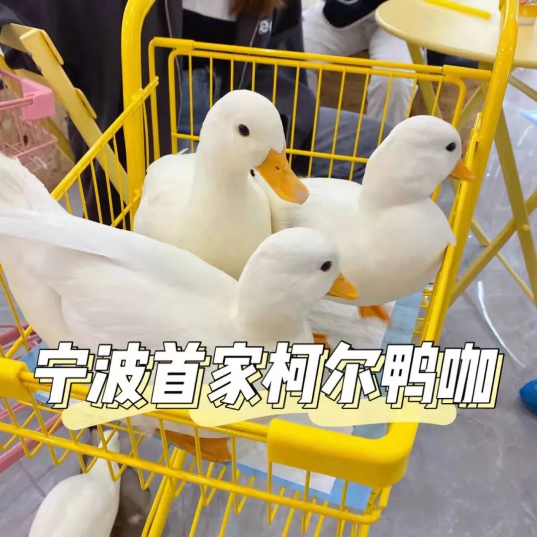 宁波万达潮玩,宁波潮玩店在哪