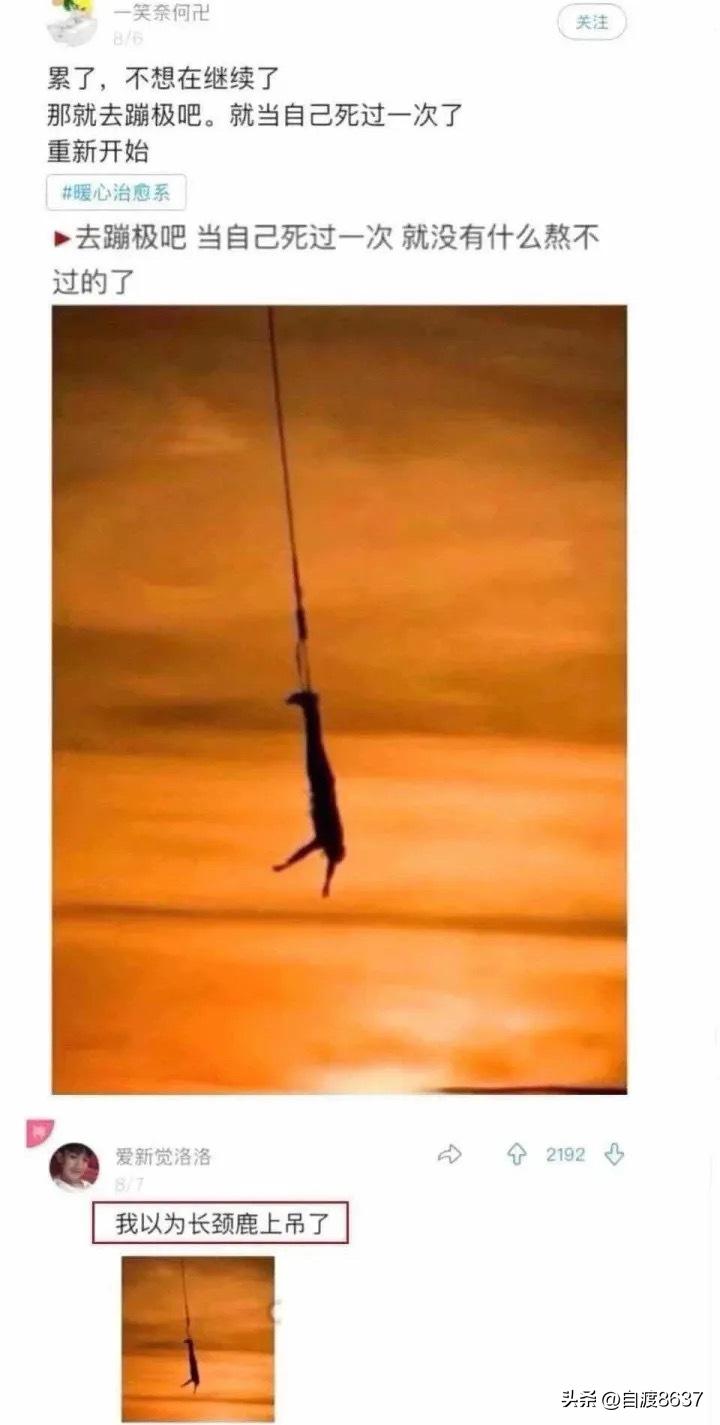 世界上最搞笑的笑话笑到吐血,你听过最好笑的笑话话题