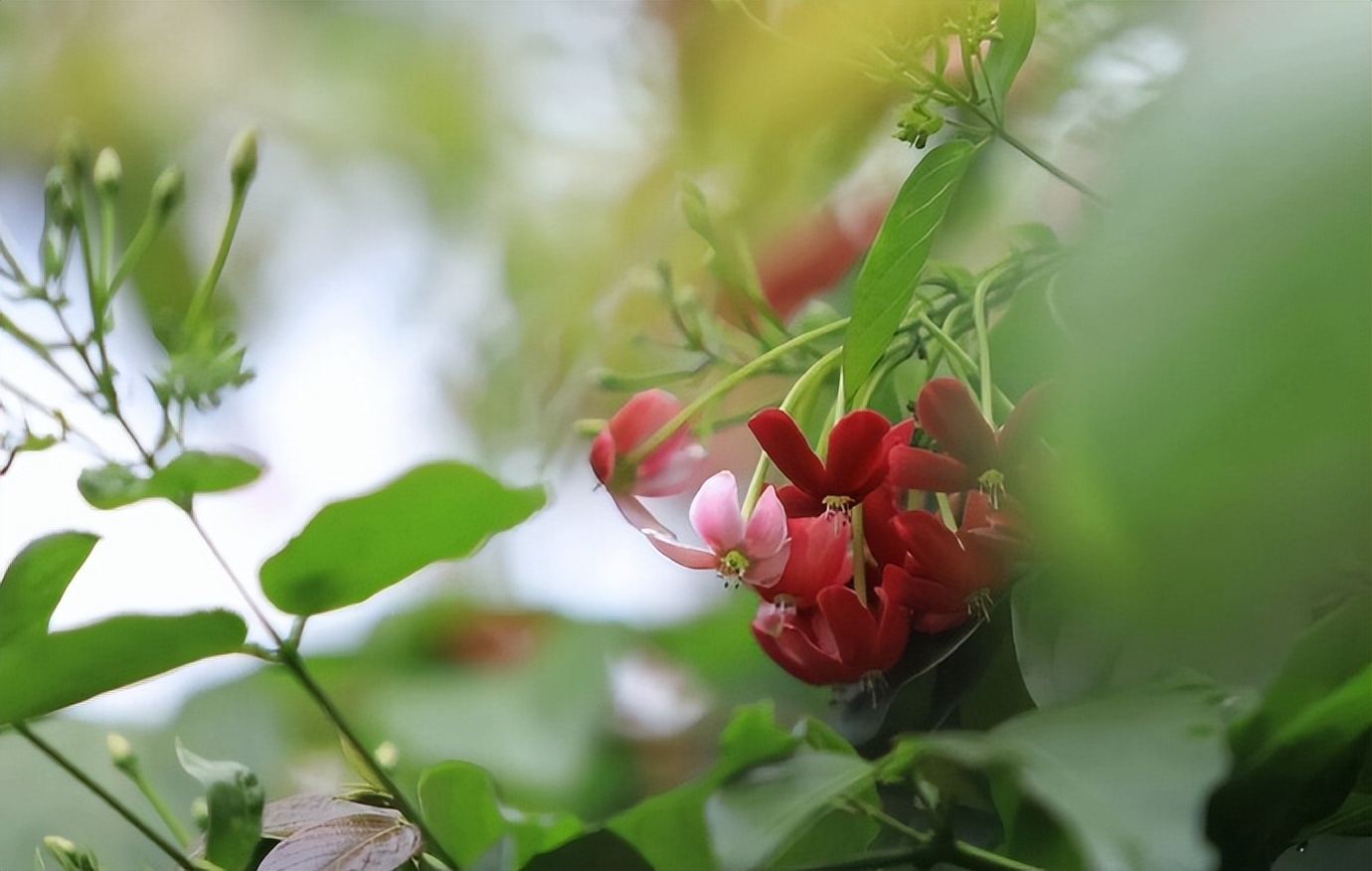 女人喜欢称呼异性哥哥是什么原因,女人称呼女人为哥哥是什么意思