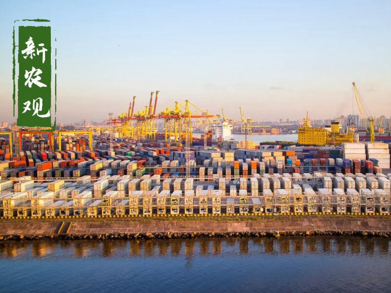 2020年11月美西海运价格 (美西海运费暴涨原因)