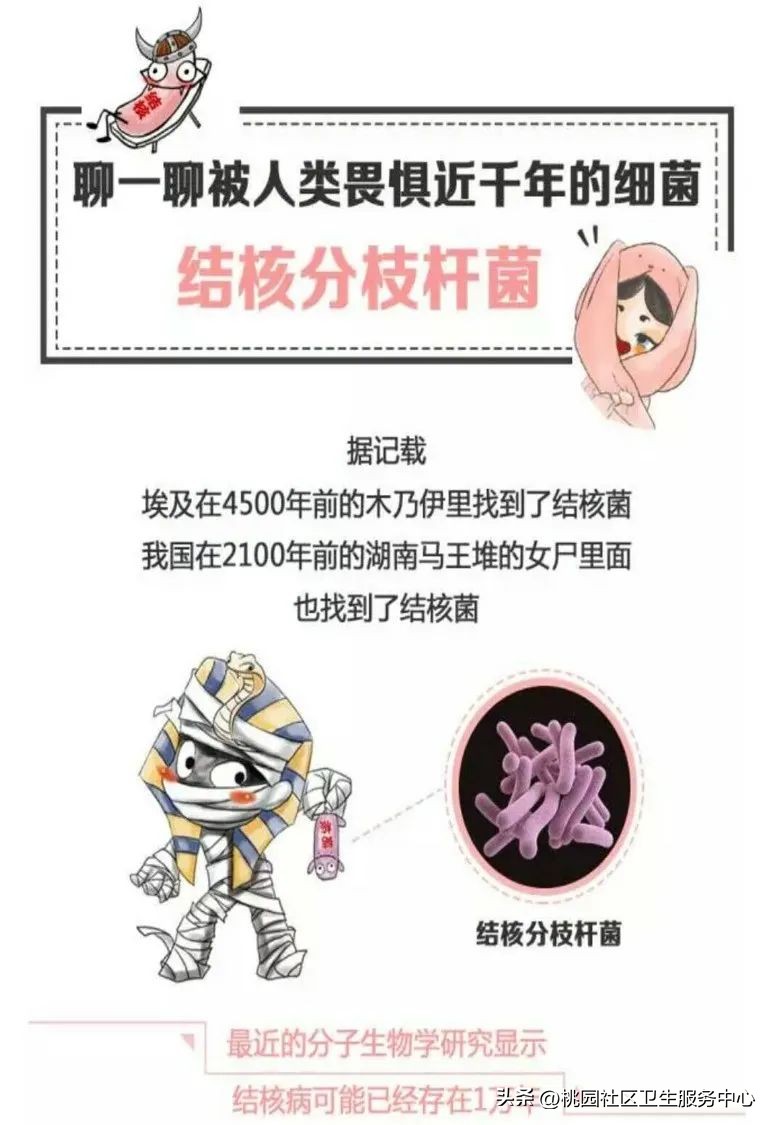 结核病科普宣传方式,科普结核病的意义