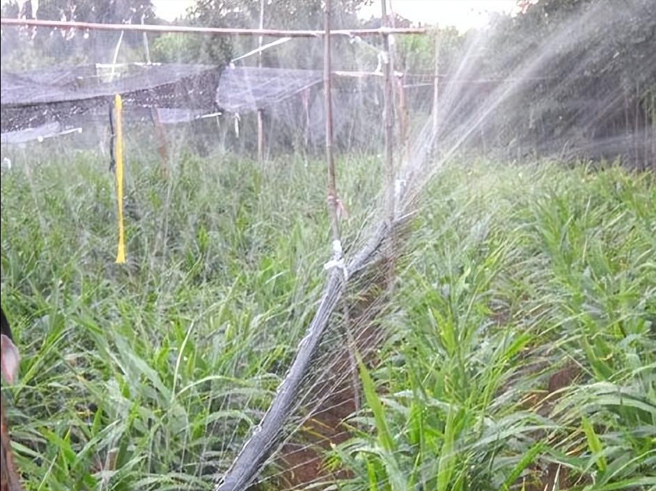 微咸水开发利用情况汇报,反渗透水处理数据分析