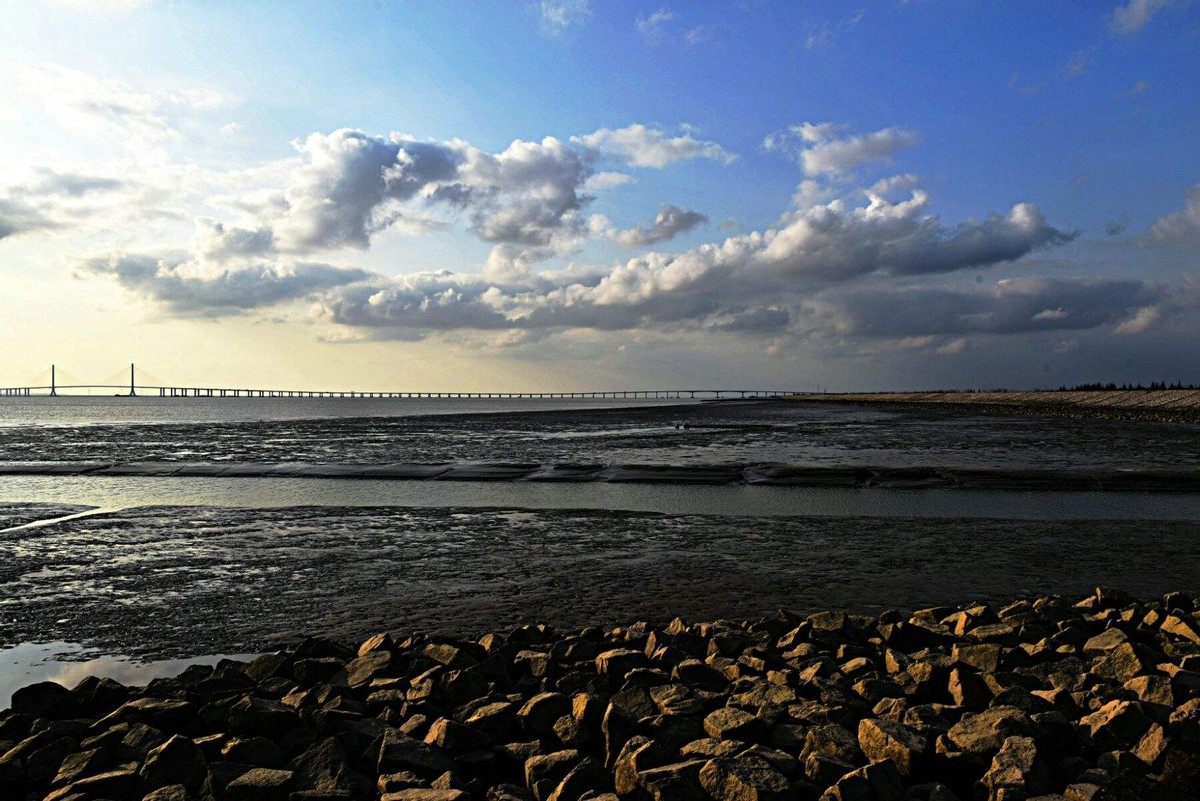 有一种怪病，伤口出现在脚上，心脏却感染了，为啥“肾也坏了”？