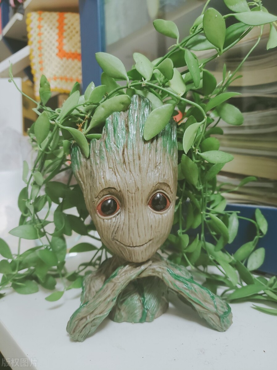 经典动漫皮卡丘,又可爱又美丽的动漫皮卡丘