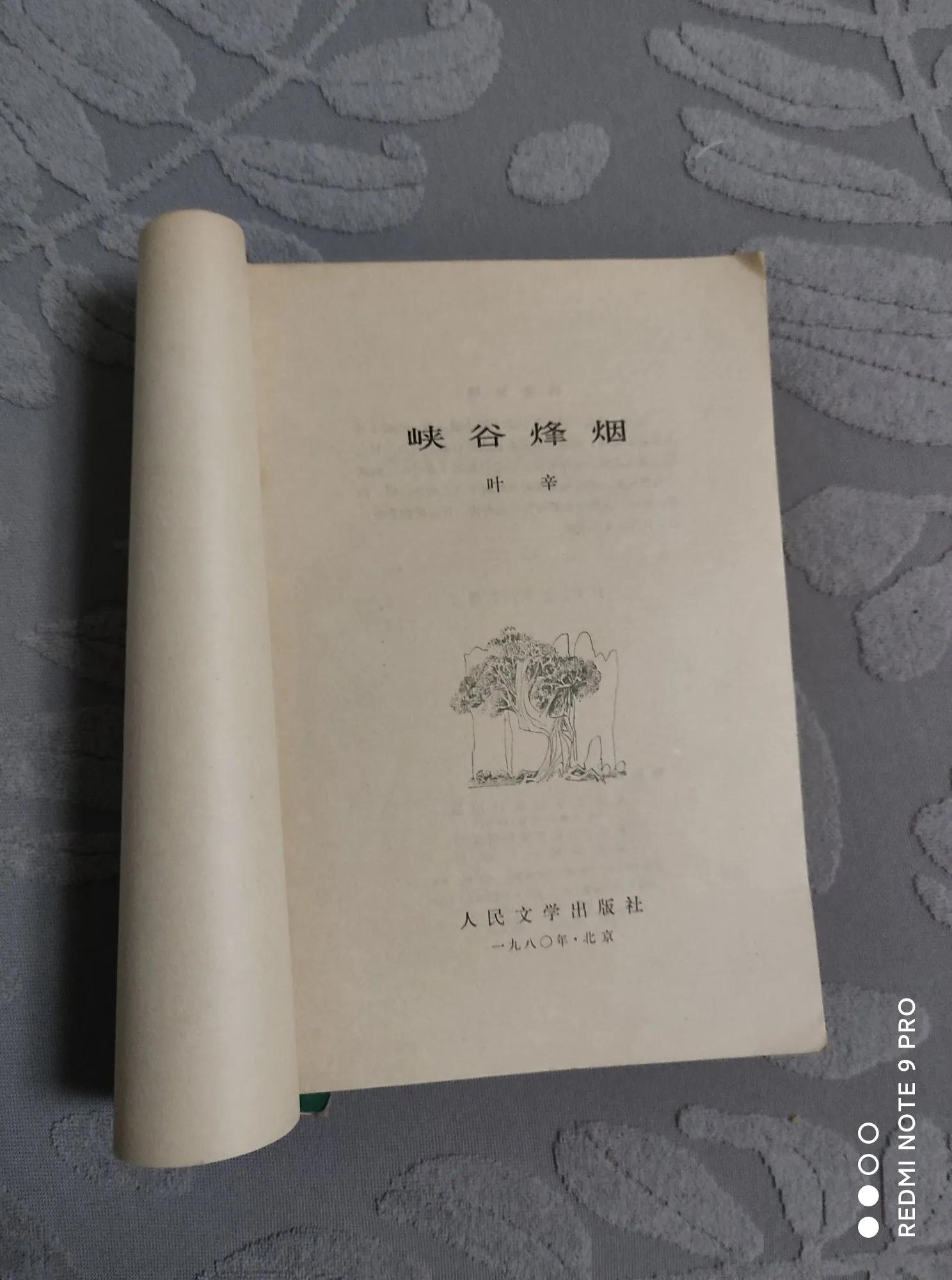作家叶辛最近视频,叶辛的小说怎么样
