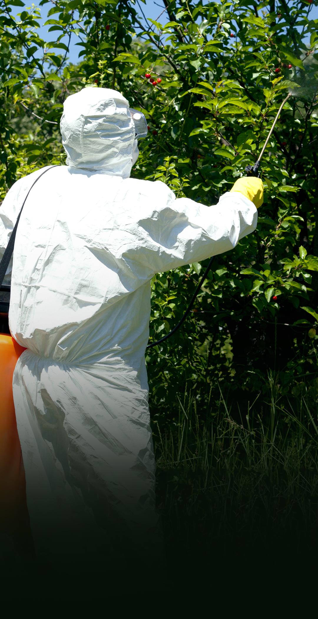 自比安道麦,上市涨不停,多项海外登记:润丰股份,国内农药产业缩影