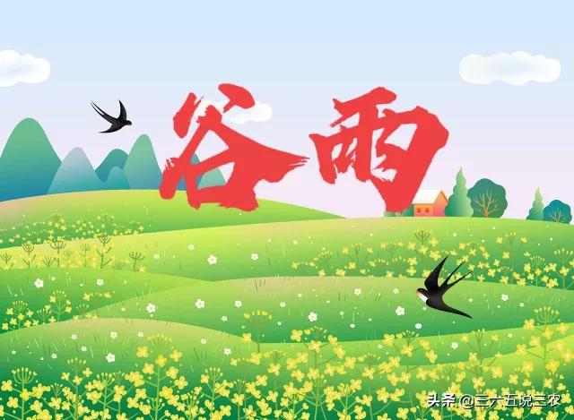 谷雨天气预报什么意思,今日天气预报问候语