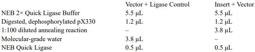 crispr蛋白质定位,crispr蛋白质