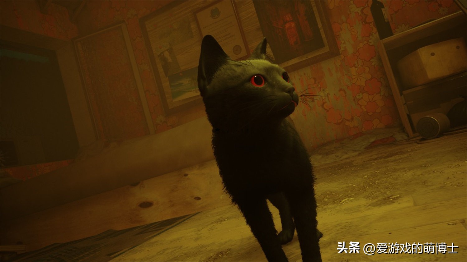 塞尔达传说荒野之息可以双人同屏,塞尔达传说荒野之息奇葩模组