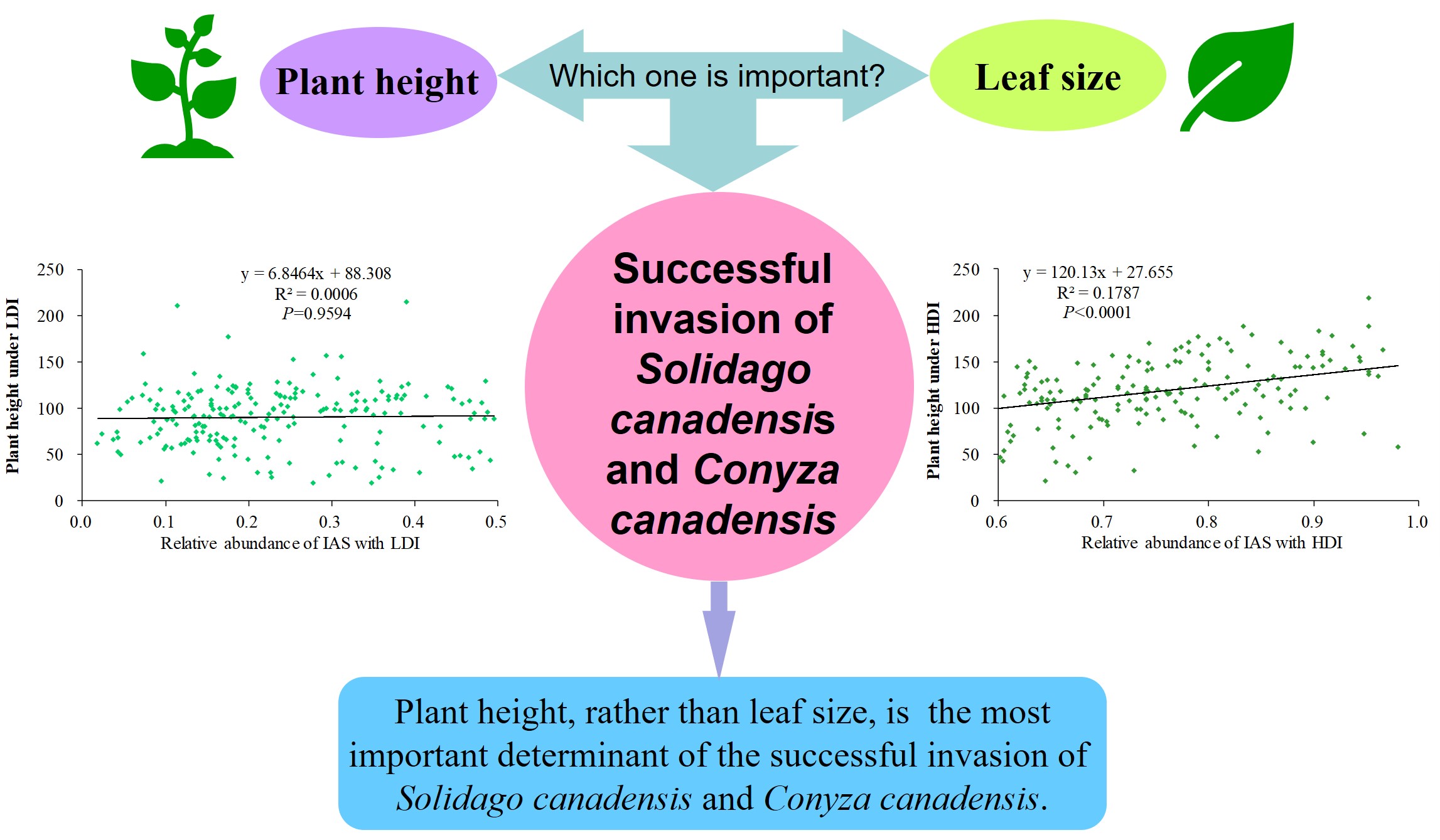 sci英语论文,医学sci论文撰写
