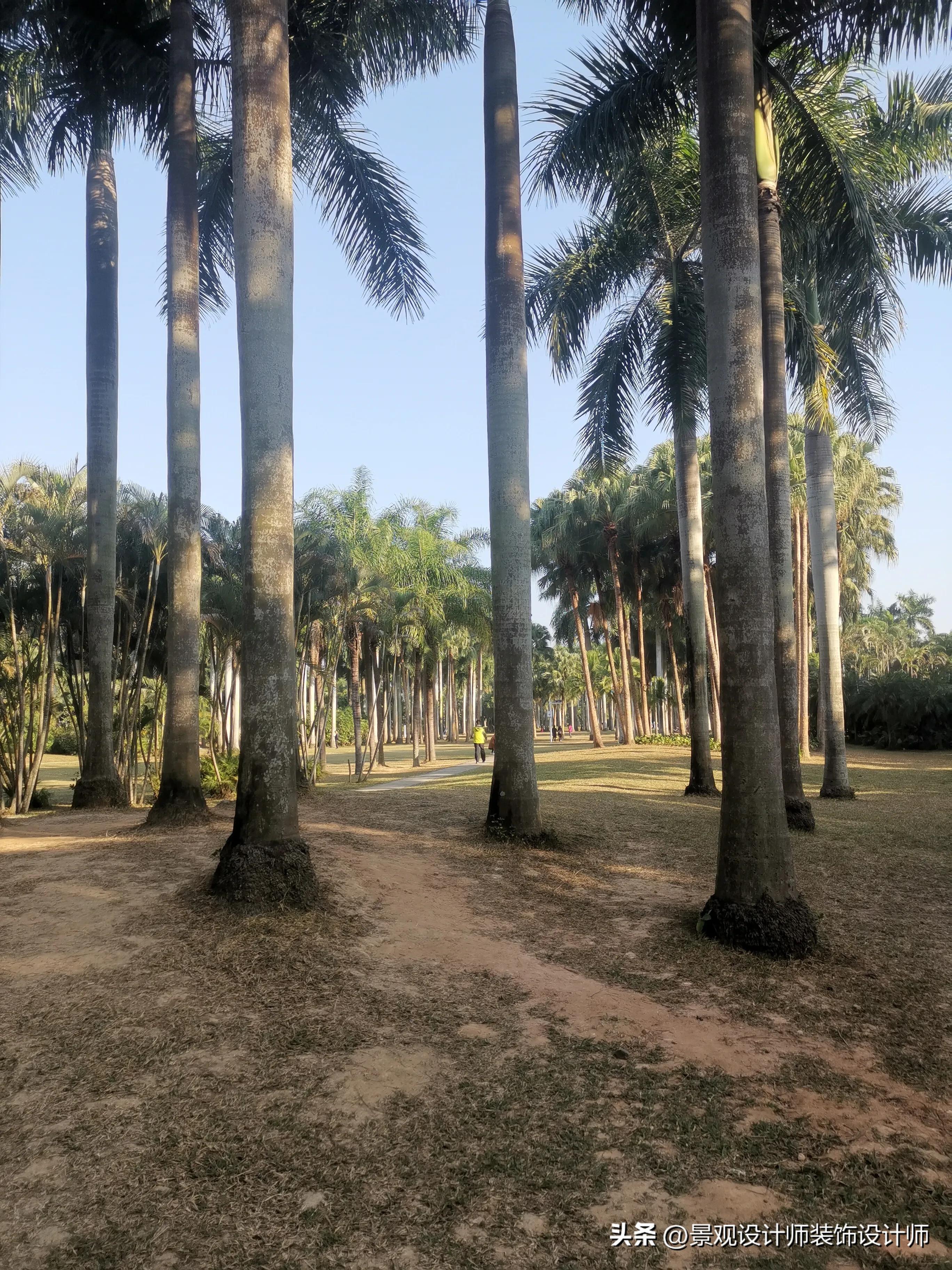 深圳市东湖公园收费标准,深圳市东湖公园宾馆