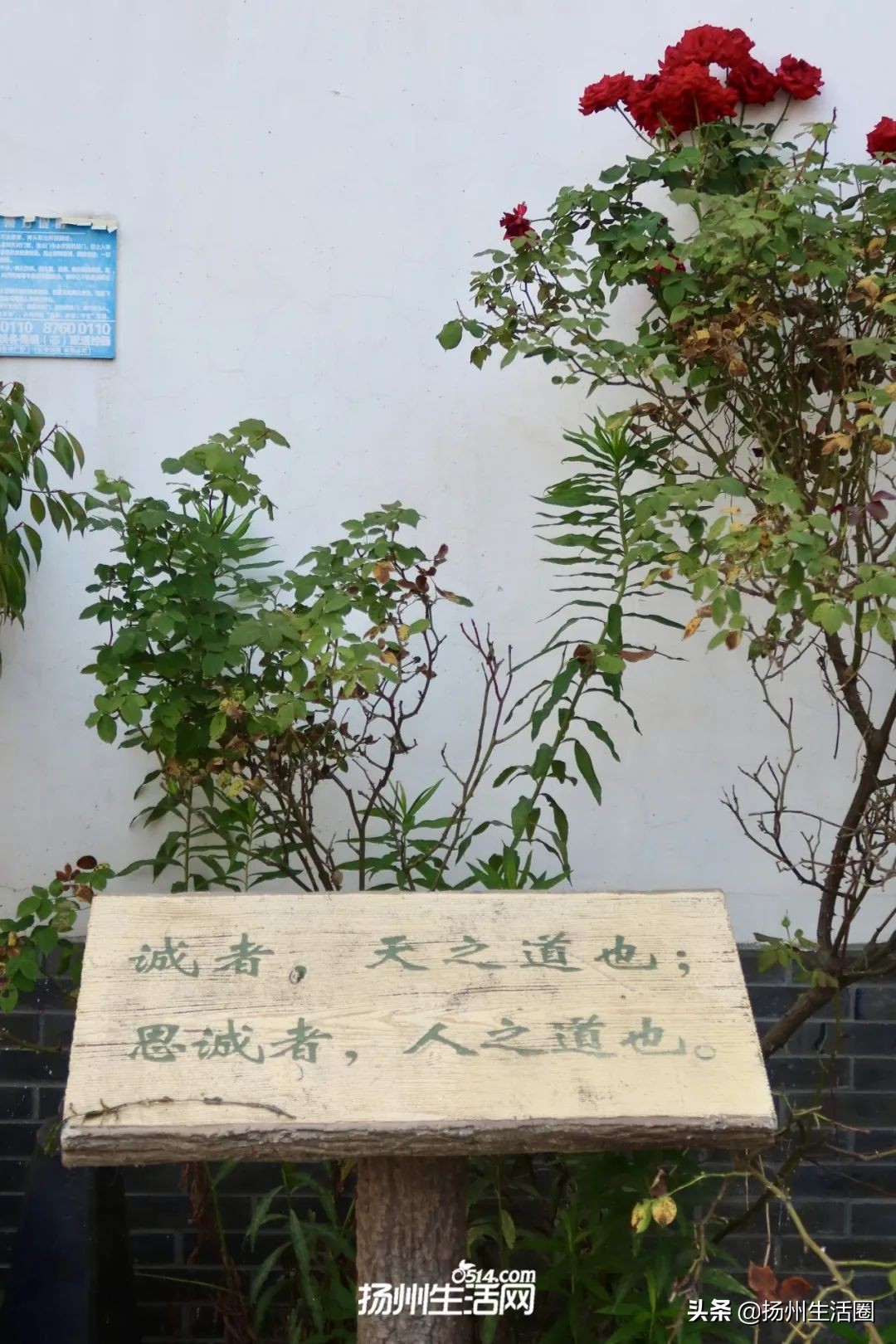 这是你没见过的全新版本,湾头古镇在哪里