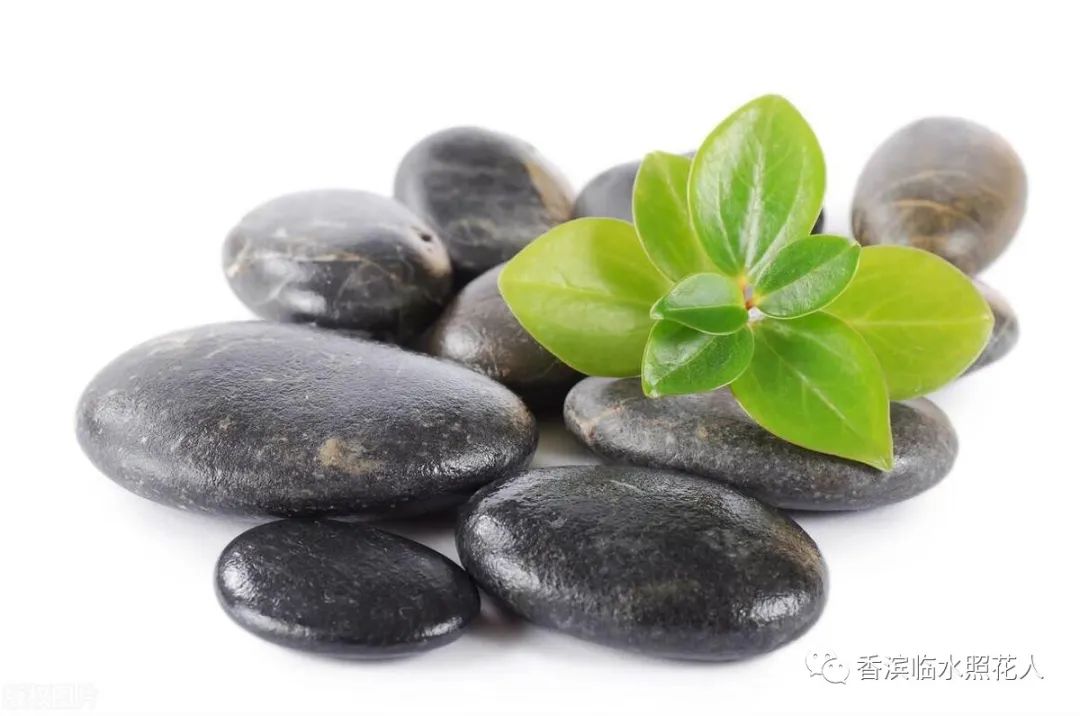 第十届创新作文大赛获奖作文,第十五届创新作文大赛作文题目