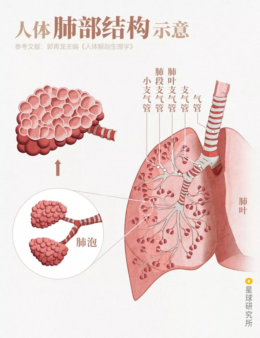 致与病毒搏斗的你！