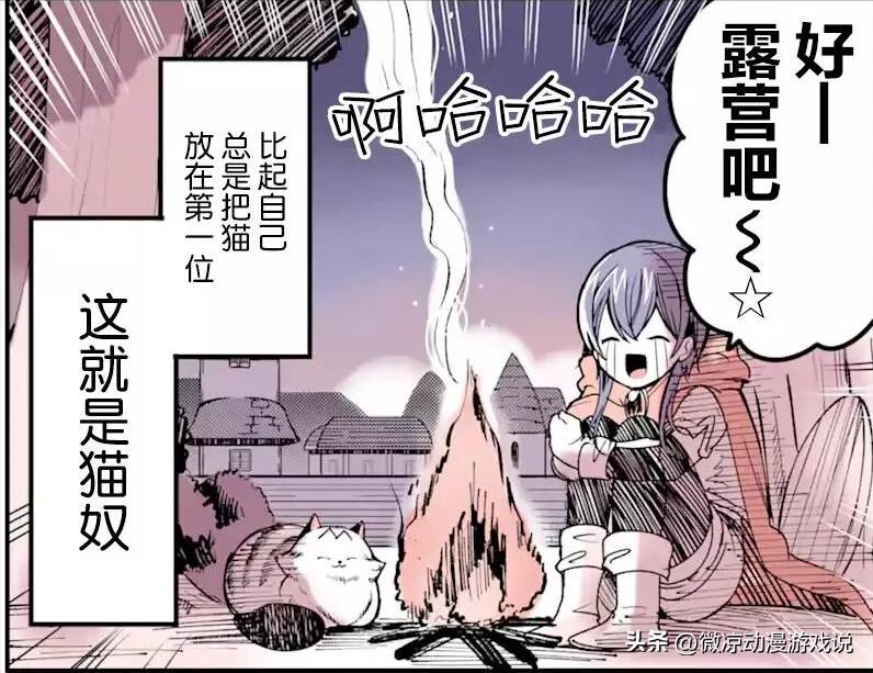 猫猫怎么可以这么乖,猫猫怎样玩耍才会开心