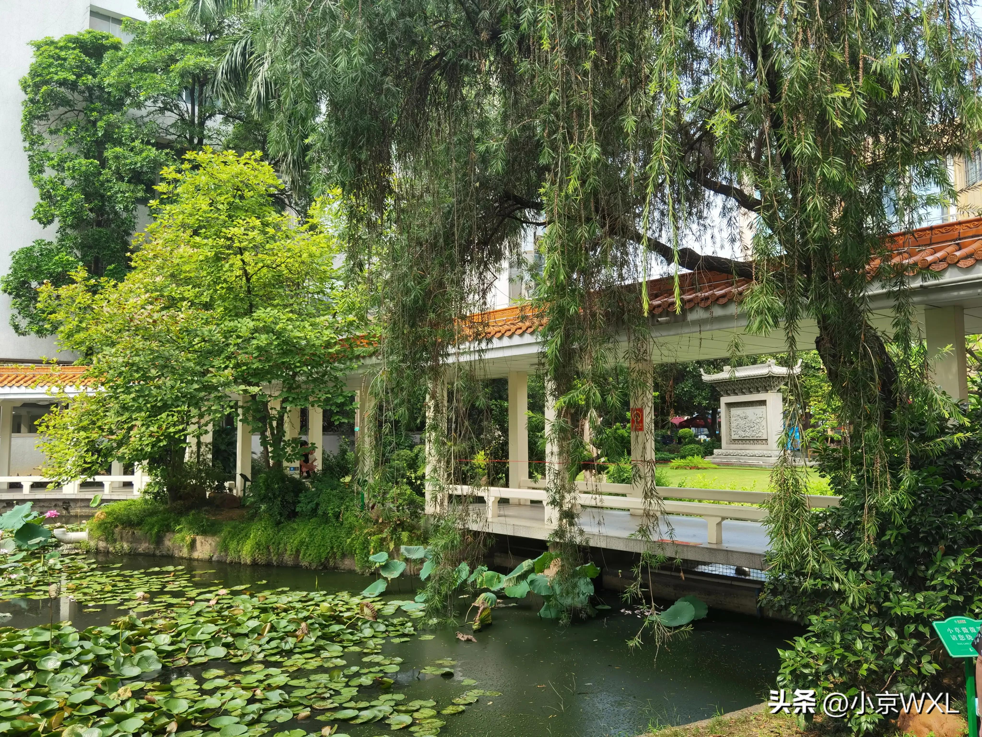 鐣瀹鹃楗尪,鐣瀹鹃鏈変笅鍗堣尪鍠濆悧