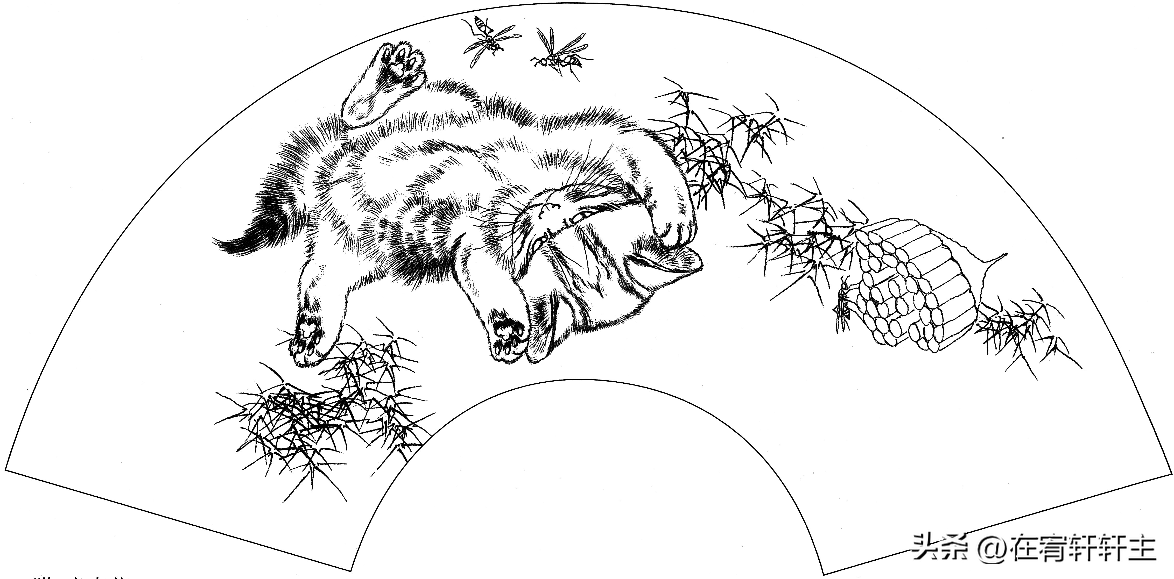 工笔白描祥云图案扇面,工笔扇面葡萄白描图片