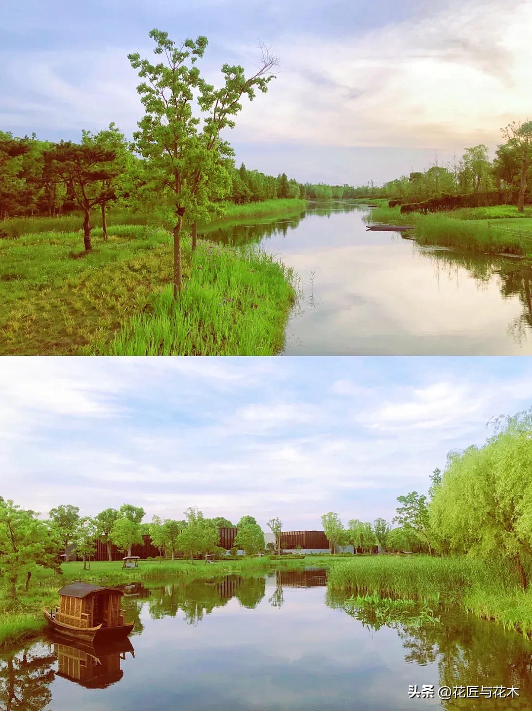 来上海住养云安缦享受园林风光,上海养云安缦剖面图