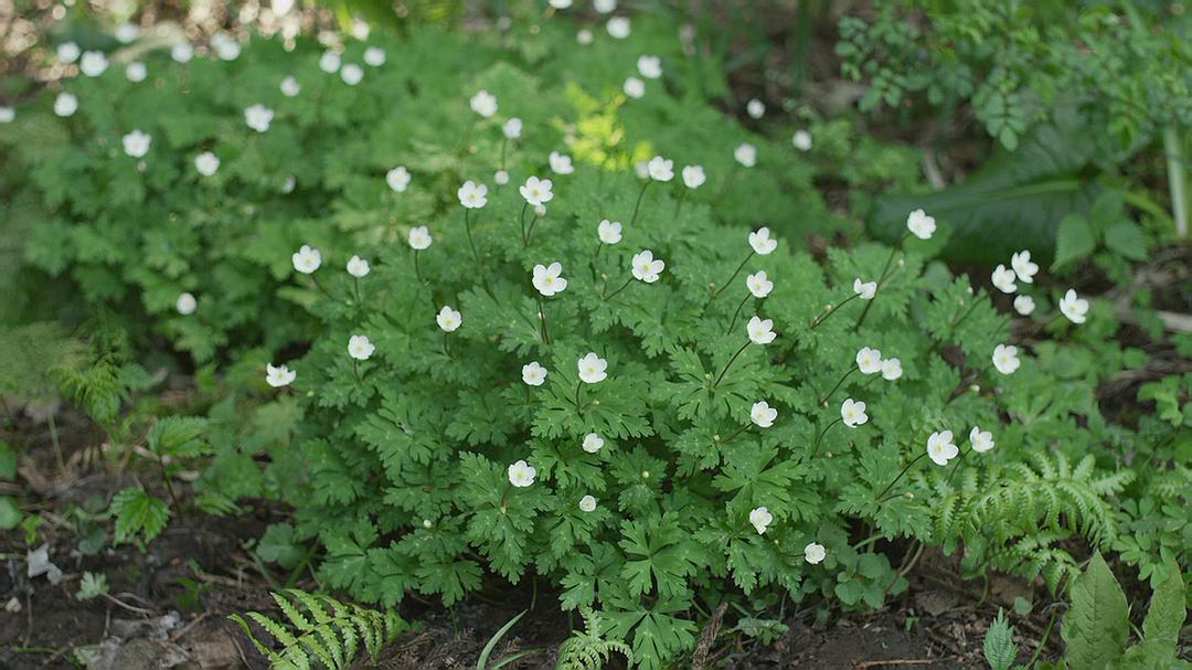 面对小人的最好办法,身边的小人又不能翻脸怎么办