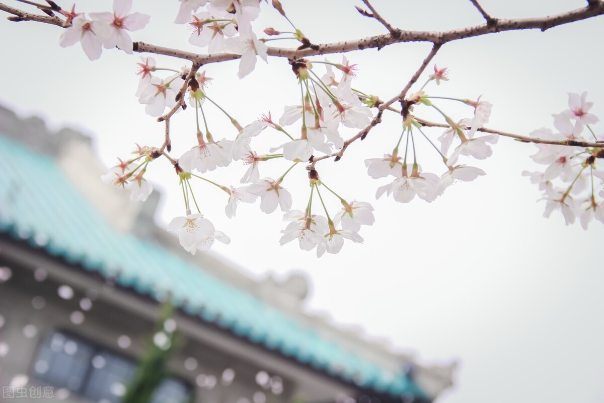 唐雎不辱使命的教学反思,唐雎不辱使命课堂笔记手写