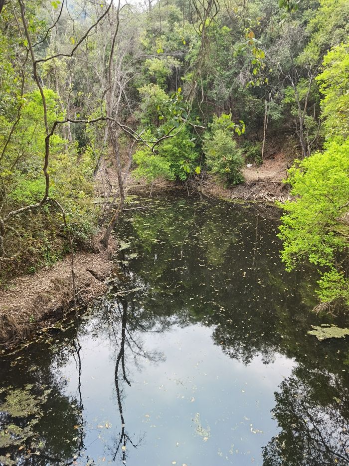 昆明青龙谷生态旅游,昆明市青龙峡风景区