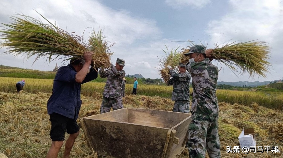 会打仗的*队军**不少见，但主动弯腰帮老百姓收庄稼的，可能只此一支