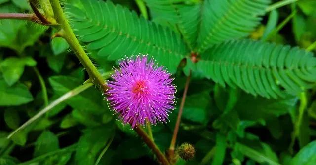 人为什么要照顾好自己的身体,照顾好自己的身体就是赚钱