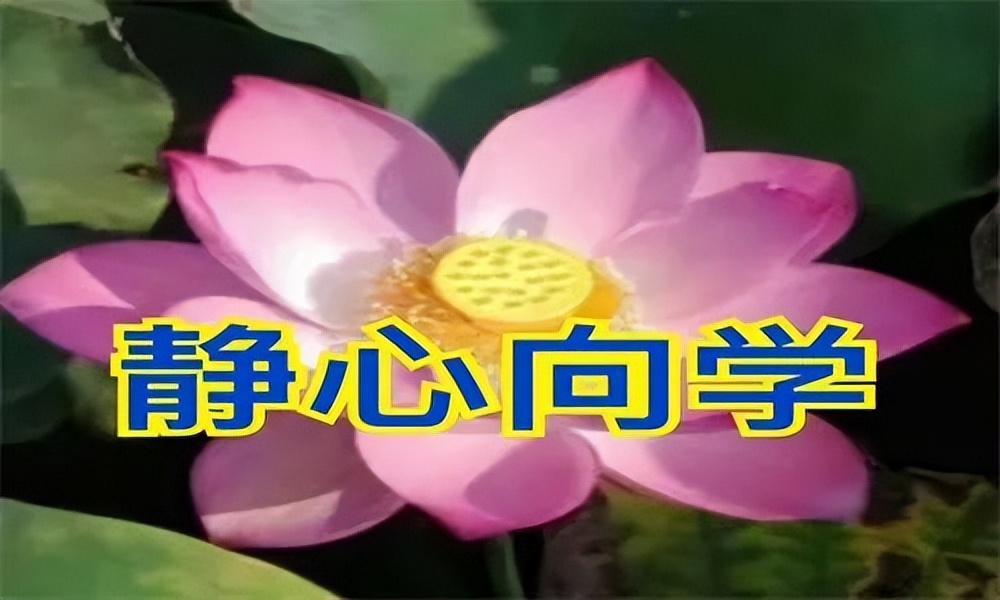 怎么辅导孩子成为学霸方法,家有学霸可以怎样辅导孩子