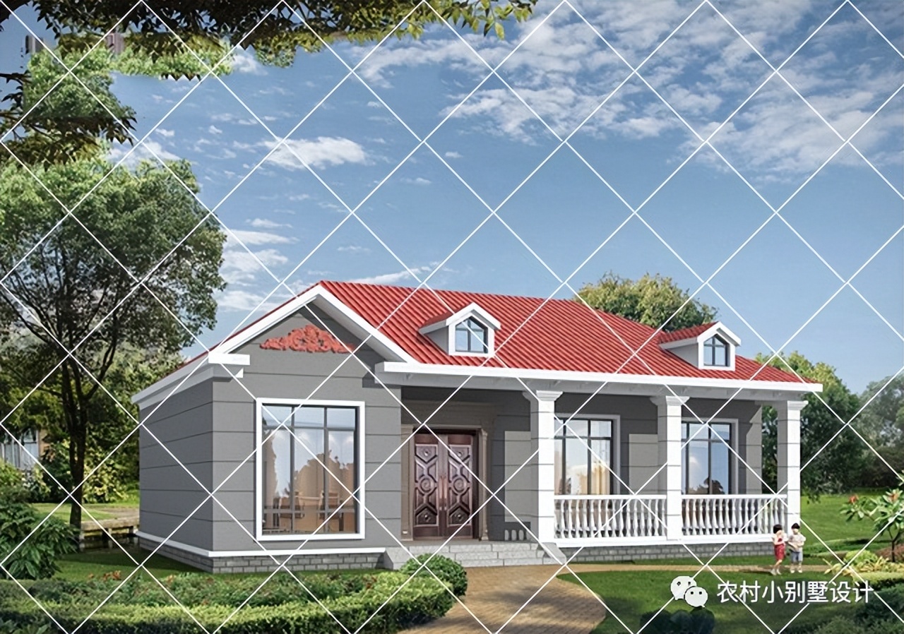 一层半层小别墅新款农村自建房,农村自建房一层别墅设计最新款