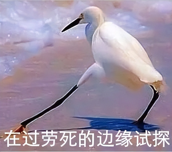 伯恩茅斯对西汉姆联比赛结果,西汉姆联vs伯恩茅斯比分预测