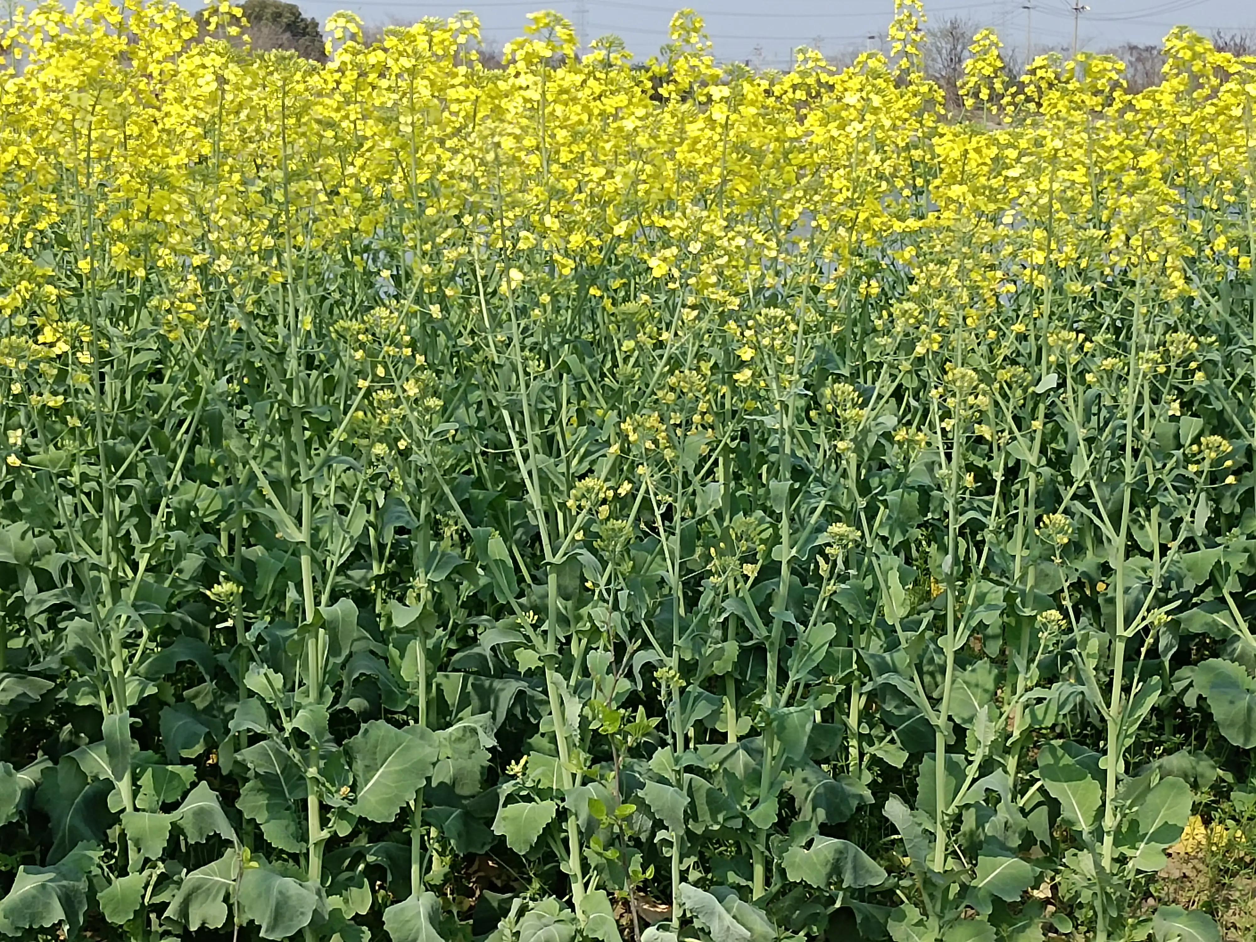 癖好琐谈——购物癖