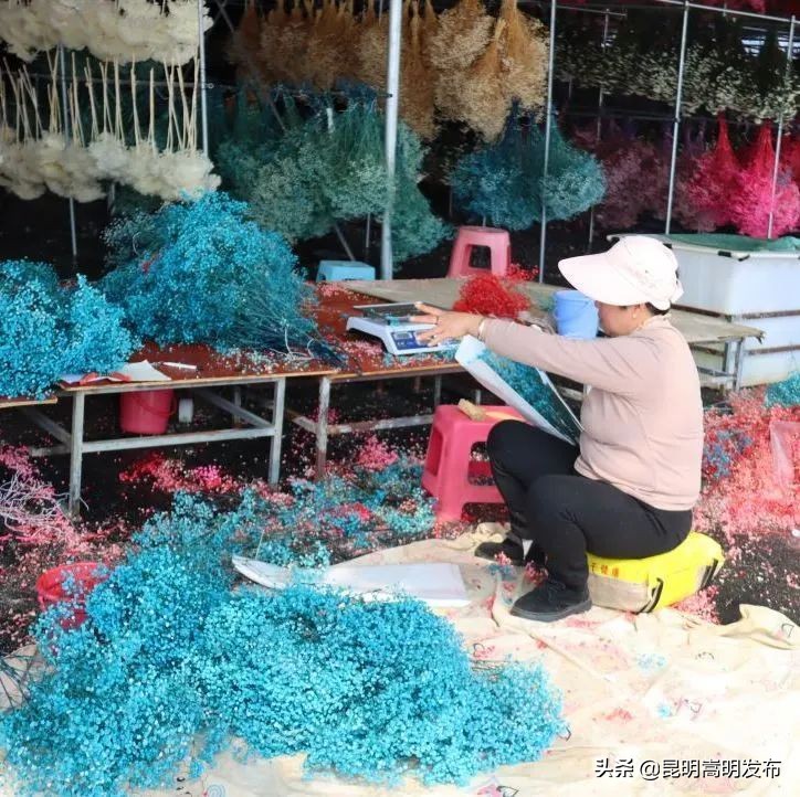 嵩明永生花店 (嵩明永生花)