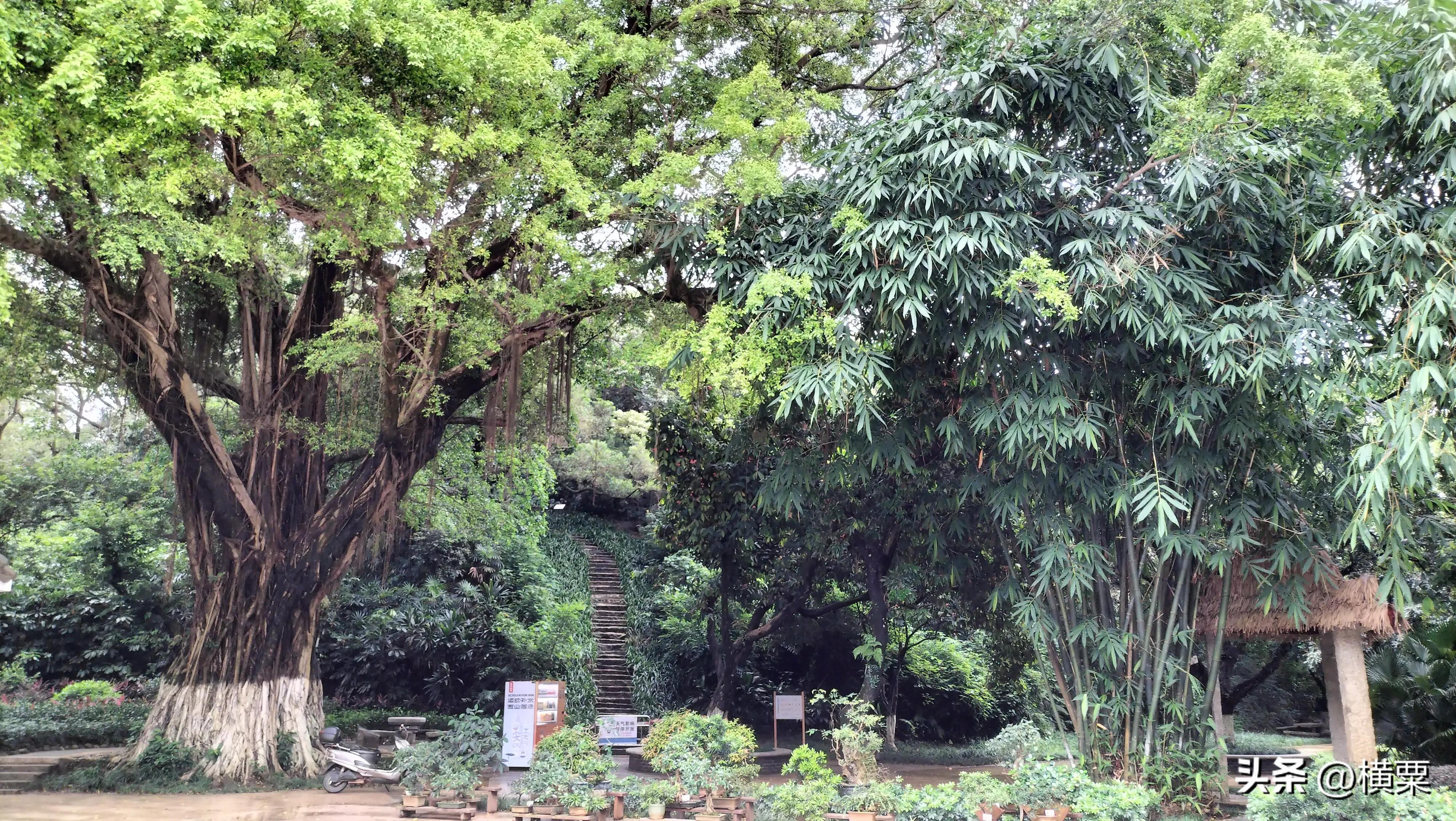 珠海唐家湾有什么好玩的地方,珠海唐家湾有什么