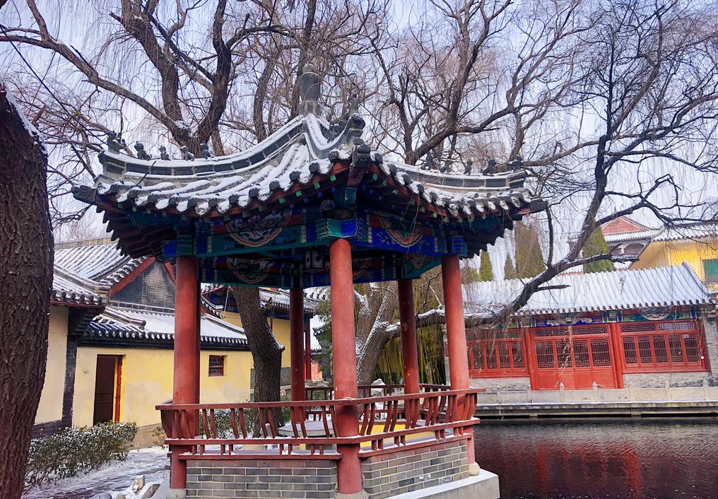 世界杯决赛地址,世界杯足球比赛地点