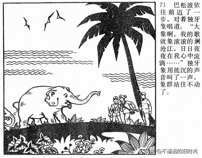 大象搬家,大象搬家河北