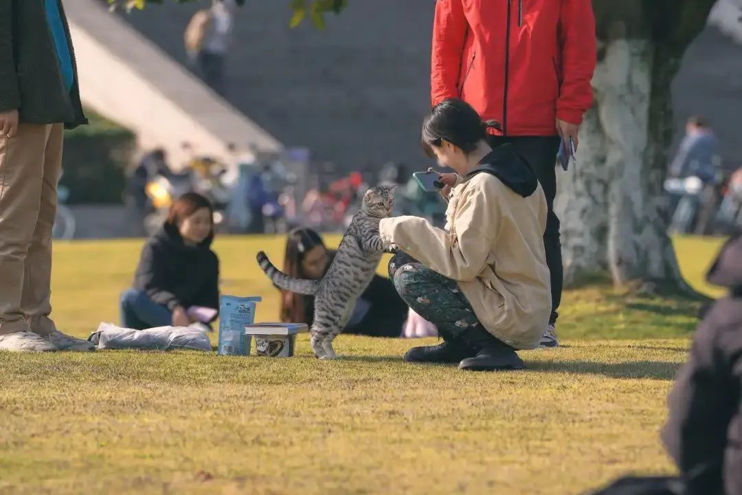 美美美，在阳光灿烂的成电遇见你~