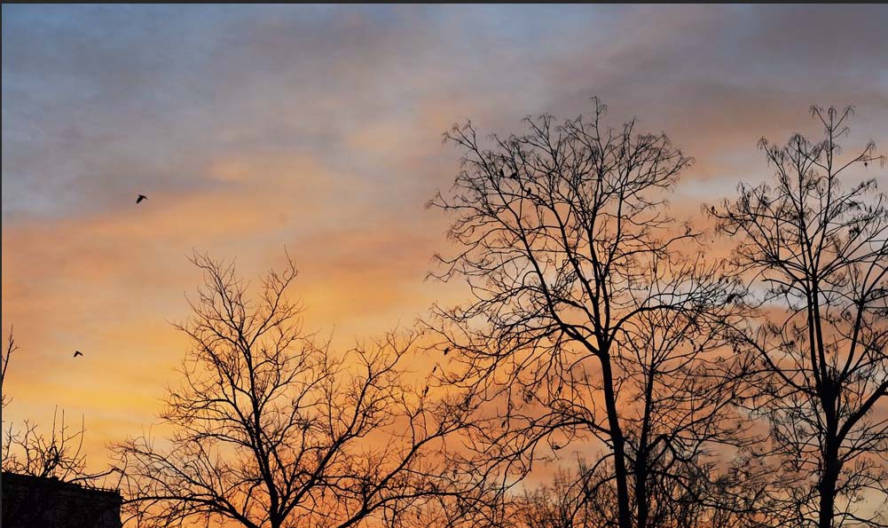 ps怎么去除图片多余的数字,ps怎么去除文字后面的背景色