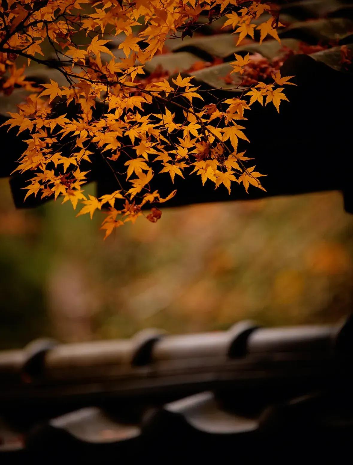 2023年普通人该做什么生意,2023年做什么生意有前途