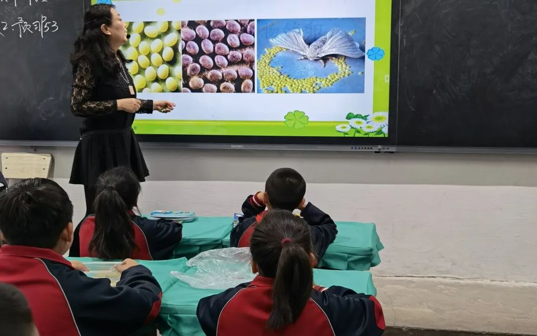 骨干教师示范引领个人工作总结,省市区优秀教师示范引领